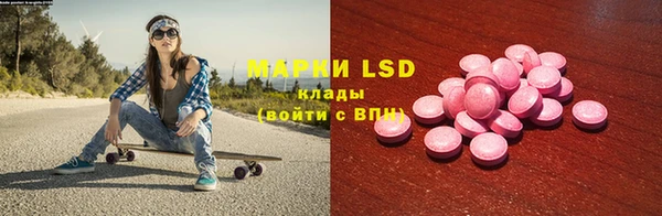 ешки Новозыбков