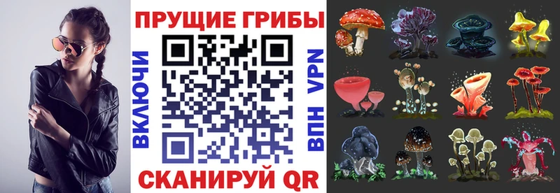 hydra вход  Серпухов  Псилоцибиновые грибы Cubensis 