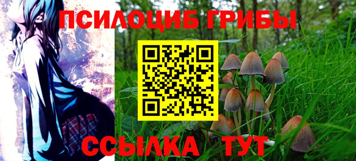 Серпухов  Галлюциногенные грибы Cubensis  Вход с VPN 